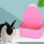 gamelle rongeur plastique pour lapin