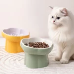 gamelle anti-glouton chat surélevée pour chien et chat