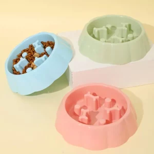 gamelle anti glouton chat os pour chiens et chats