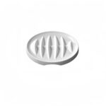 Accessoire pour chat : gamelle anti-glouton en forme de poisson pour une alimentation saine.