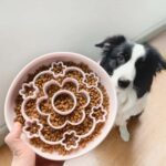 gamelle anti glouton silicone fleurs pour animaux