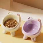 gamelle chat surélevée inclinée pour chien et chat