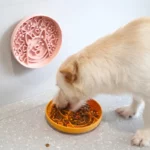 gamelle anti glouton chiens silicone pour chiens et chats