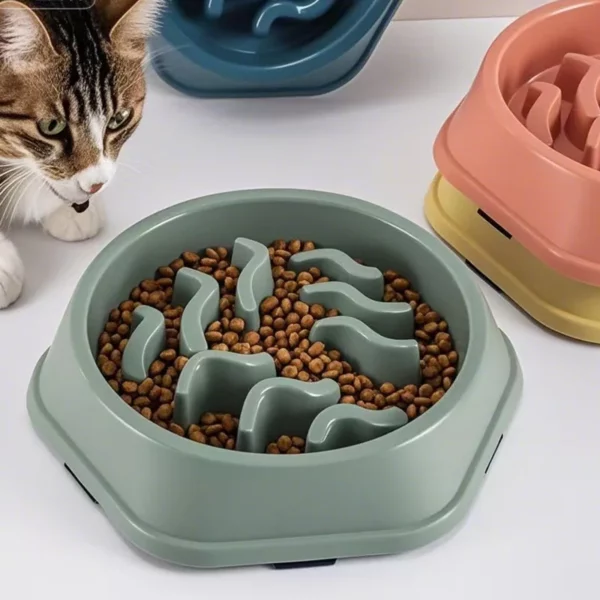 gamelle anti glouton chien ondulée pour chien et chat