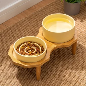 gamelle chien double anti glouton pour chiot et chaton