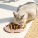 Gamelle pour chat qui ralentit la vitesse de consommation grâce à son design unique.