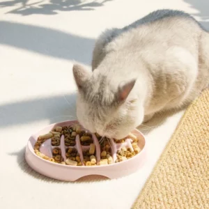 Gamelle pour chat qui ralentit la vitesse de consommation grâce à son design unique.