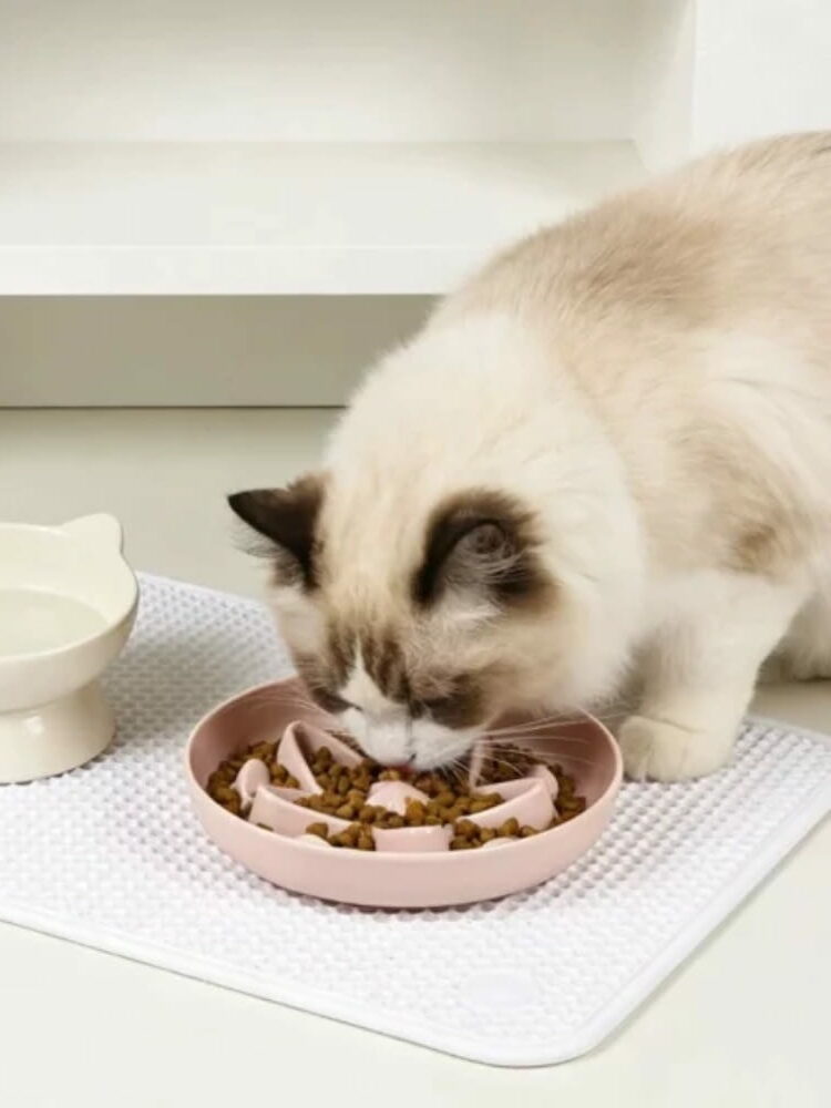 gamelle anti-glouton chat relief pour animaux