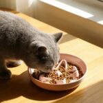 gamelle anti-glouton chat relief pour animaux