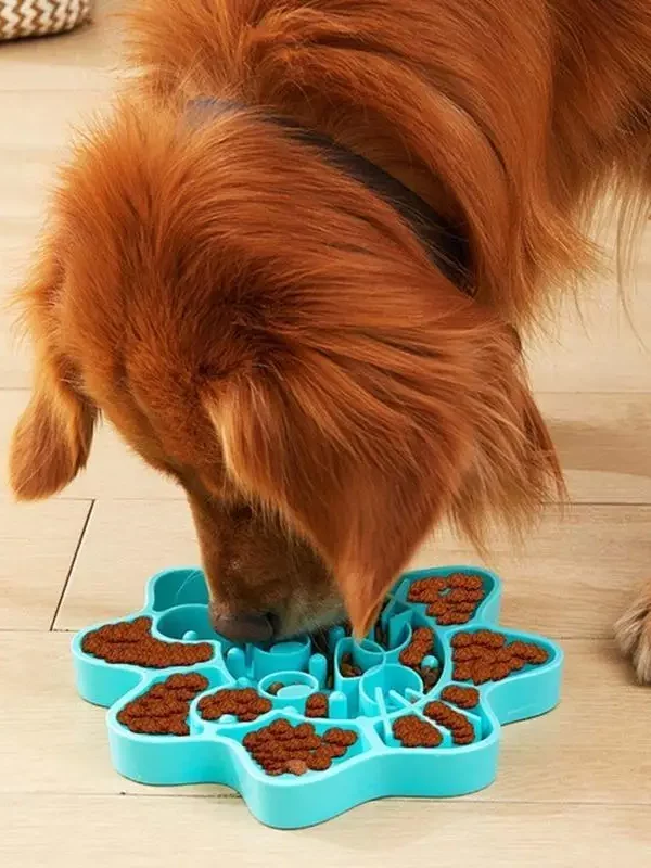 gamelle anti glouton chien lion pour chien et chat