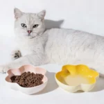 gamelle chat céramique patte pour chien et chat