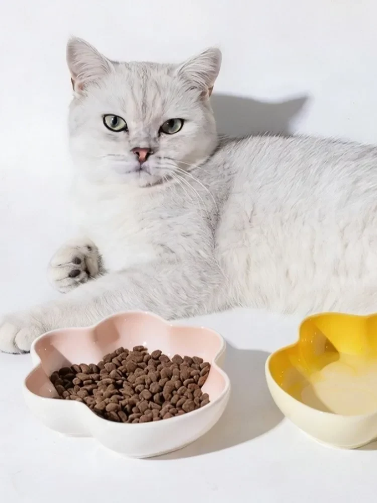 gamelle chat céramique patte pour chien et chat