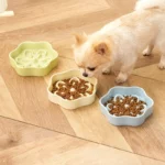 gamelle anti glouton chien fleurs pour chien et chat
