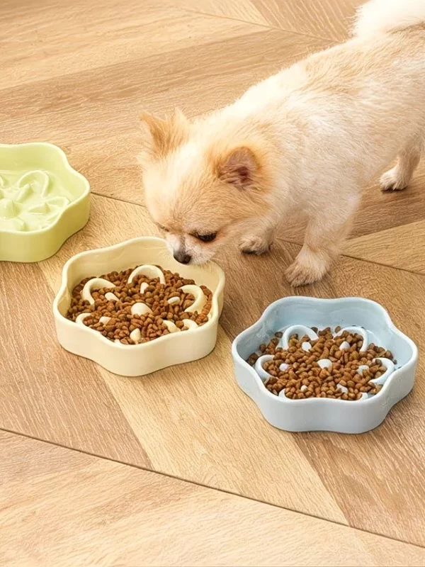 gamelle anti glouton chien fleurs pour chien et chat